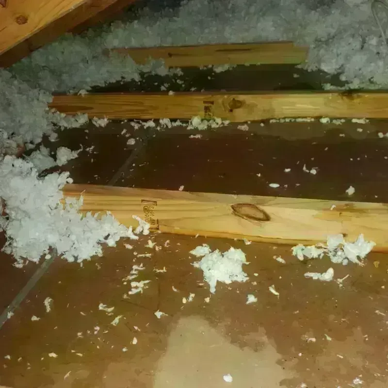 Attic Water Damage in Kingston Estates, NJ